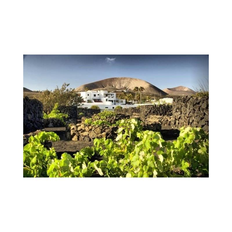 Finca de la Florida