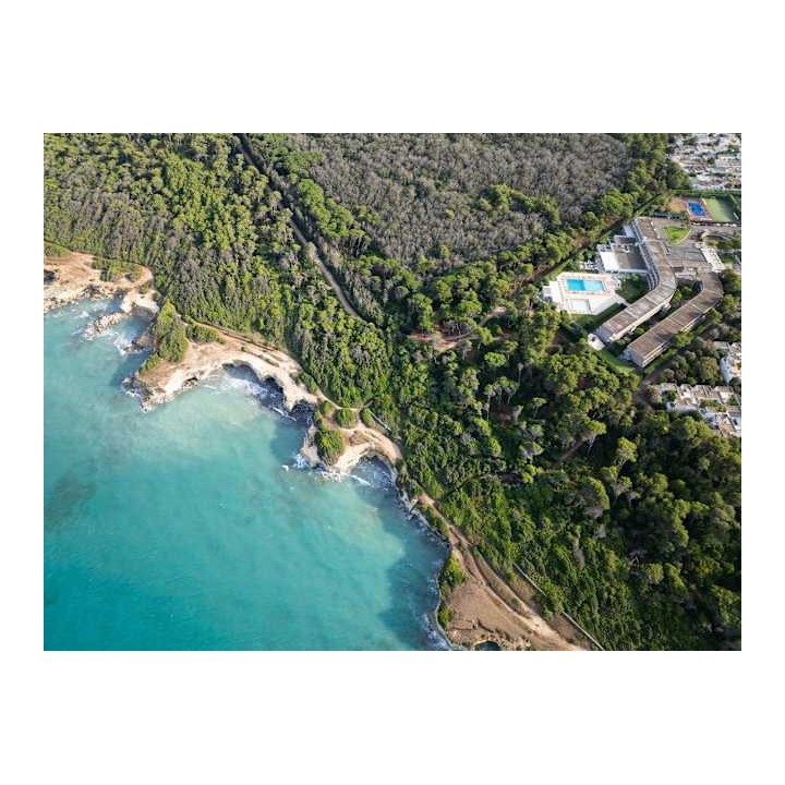 VOI Daniela Essentia