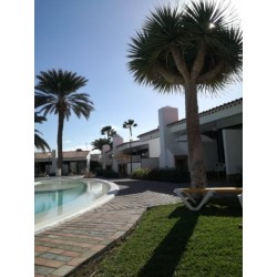 Hotel El Palmital