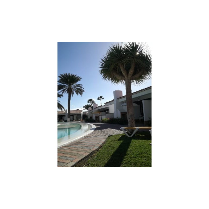 Hotel El Palmital
