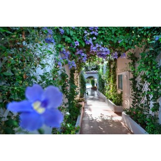 Bungalowhotel Parque del Paraiso I - Adult Hotel