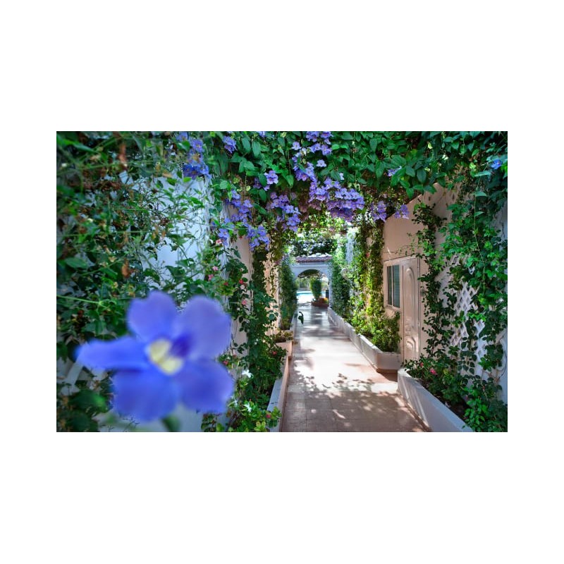 Bungalowhotel Parque del Paraiso I - Adult Hotel