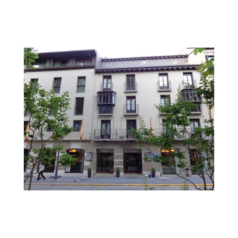 Hotel Vincci Albayzin