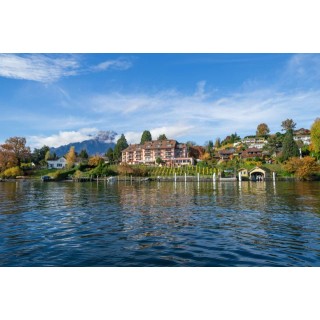 Seehotel Kastanienbaum