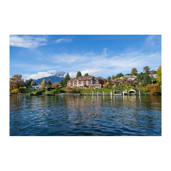 Seehotel Kastanienbaum