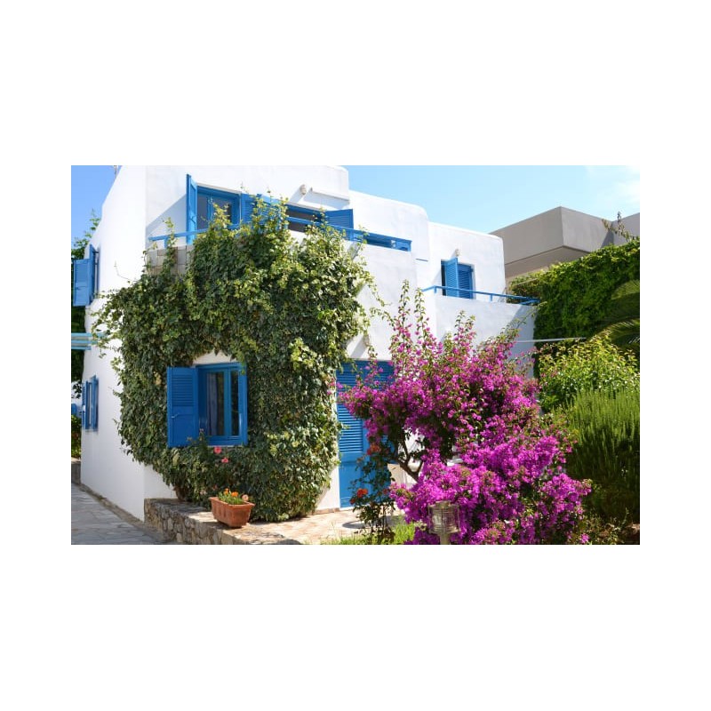 Hotel Galeana Beach