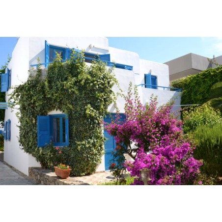 Hotel Galeana Beach