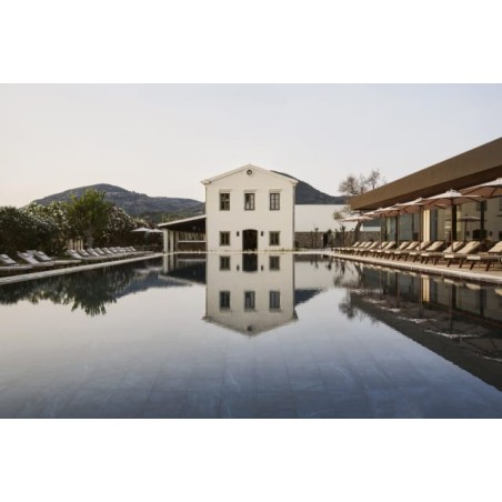 The Olivar Suites
