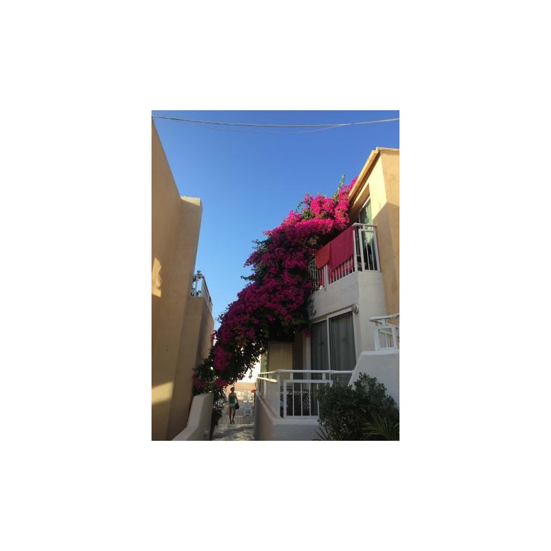 Hotel Nefeli