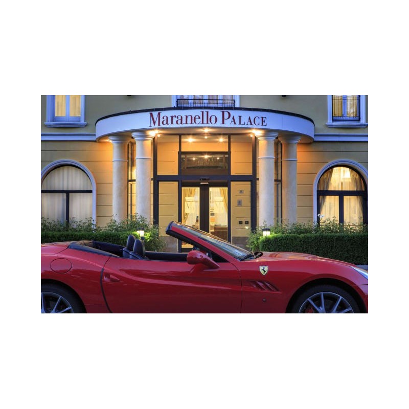 Hotel Maranello Palace