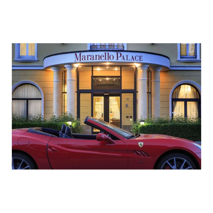 Hotel Maranello Palace