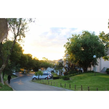 Indaba Hotel
