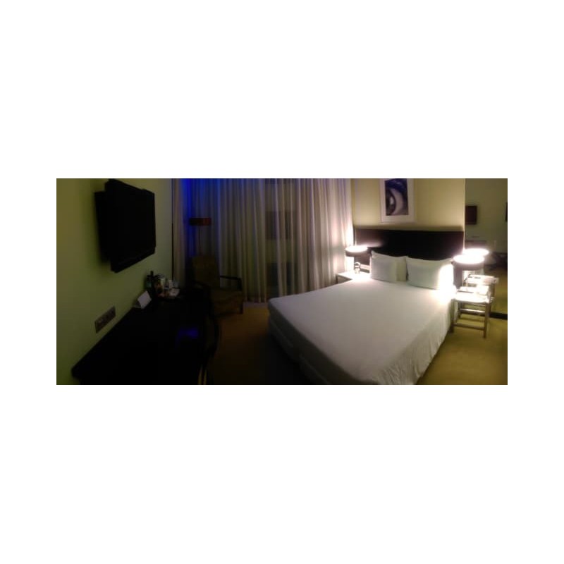 Sana Capitol Hotel