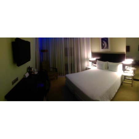 Sana Capitol Hotel