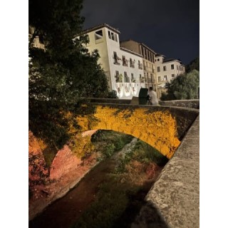 Hotel Palacio de Mariana Pineda