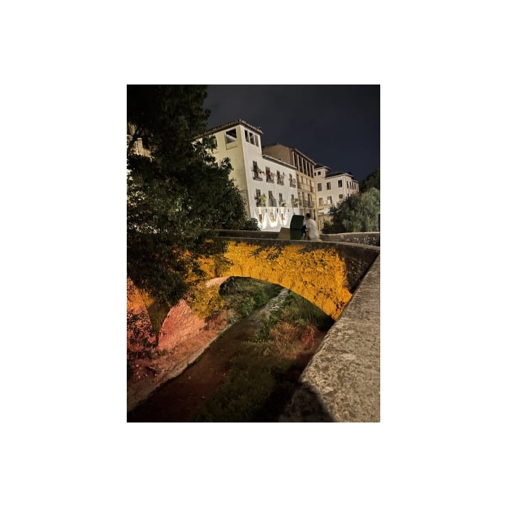 Hotel Palacio de Mariana Pineda