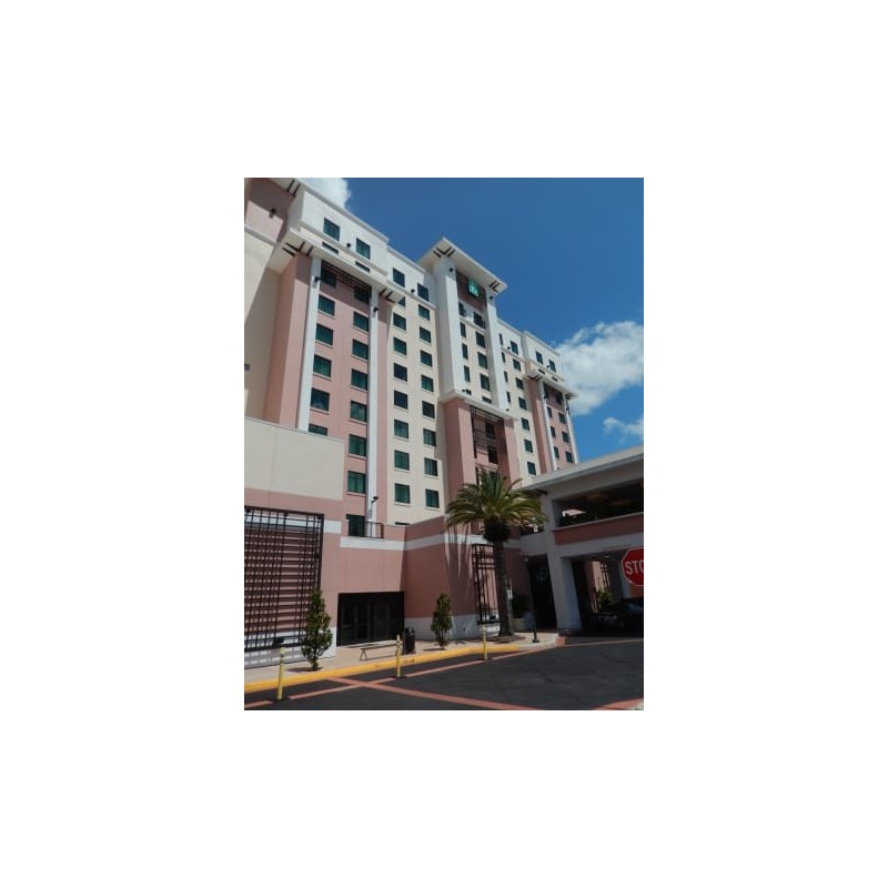 Hotel Embassy Suites Orlando Lake Buena Vista South