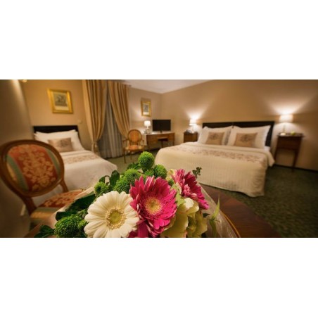 Hotel Angelis