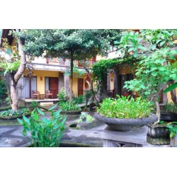 Hotel Puri Mesari