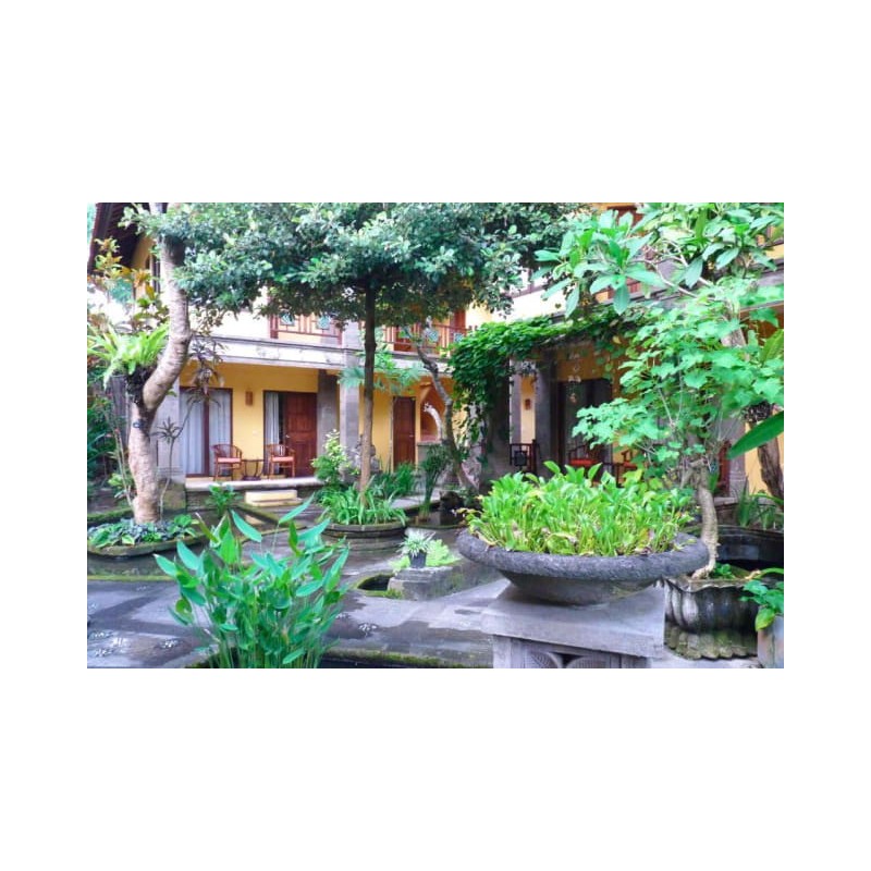 Hotel Puri Mesari