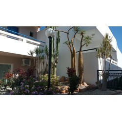Maria Rousse Studios