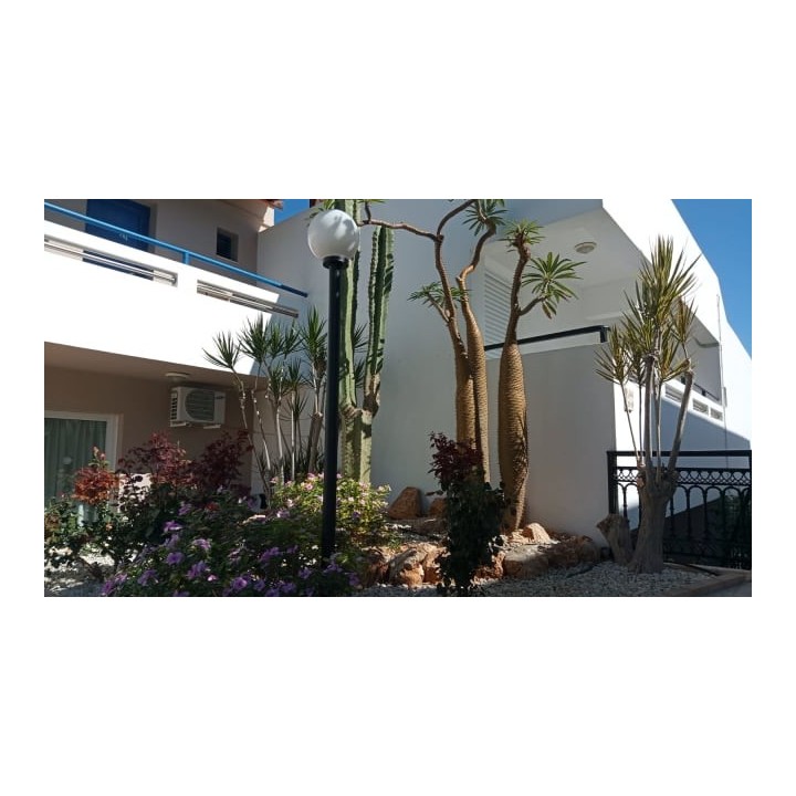 Maria Rousse Studios