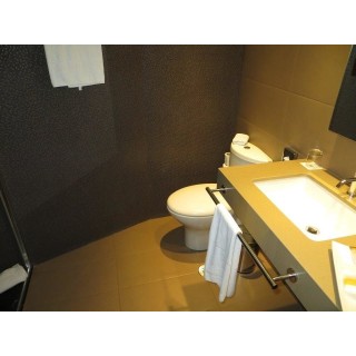 Hotel Abades Recogidas