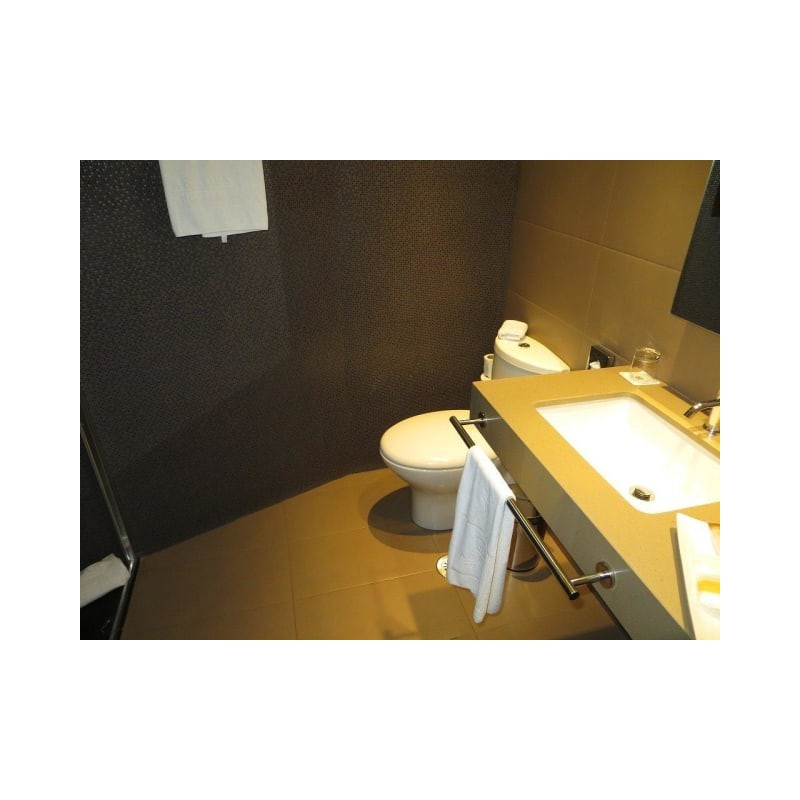 Hotel Abades Recogidas