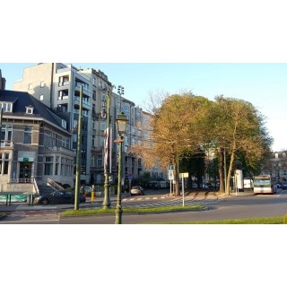 Hotel Eurostars Montgomery