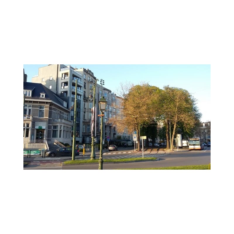 Hotel Eurostars Montgomery