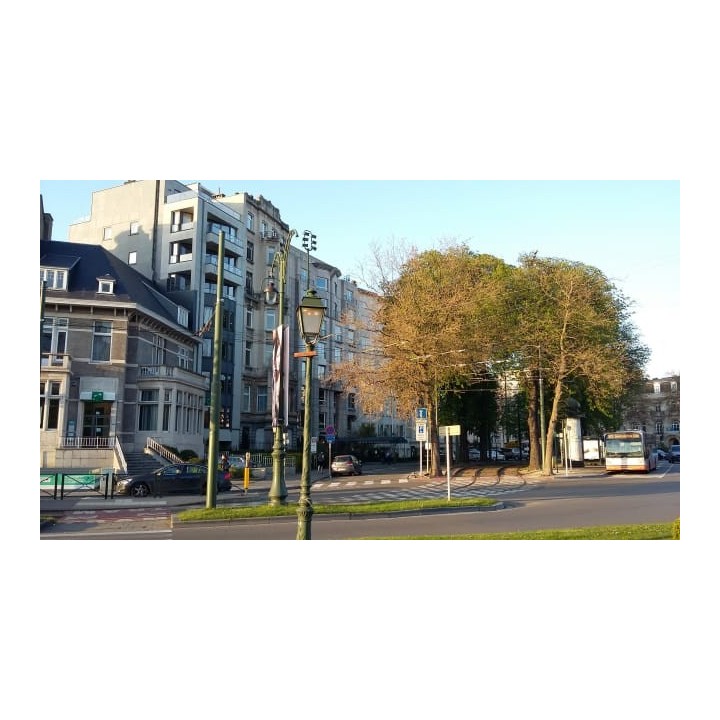 Hotel Eurostars Montgomery