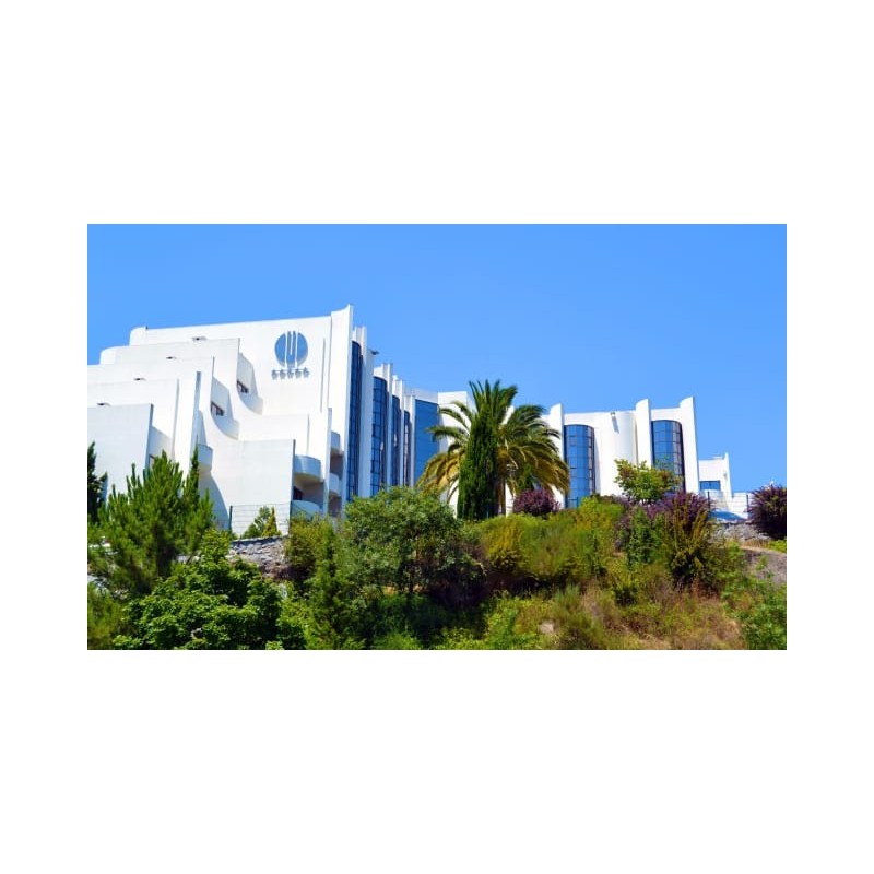 Hotel Montebelo