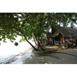 Hotel Banpu Beach Resort