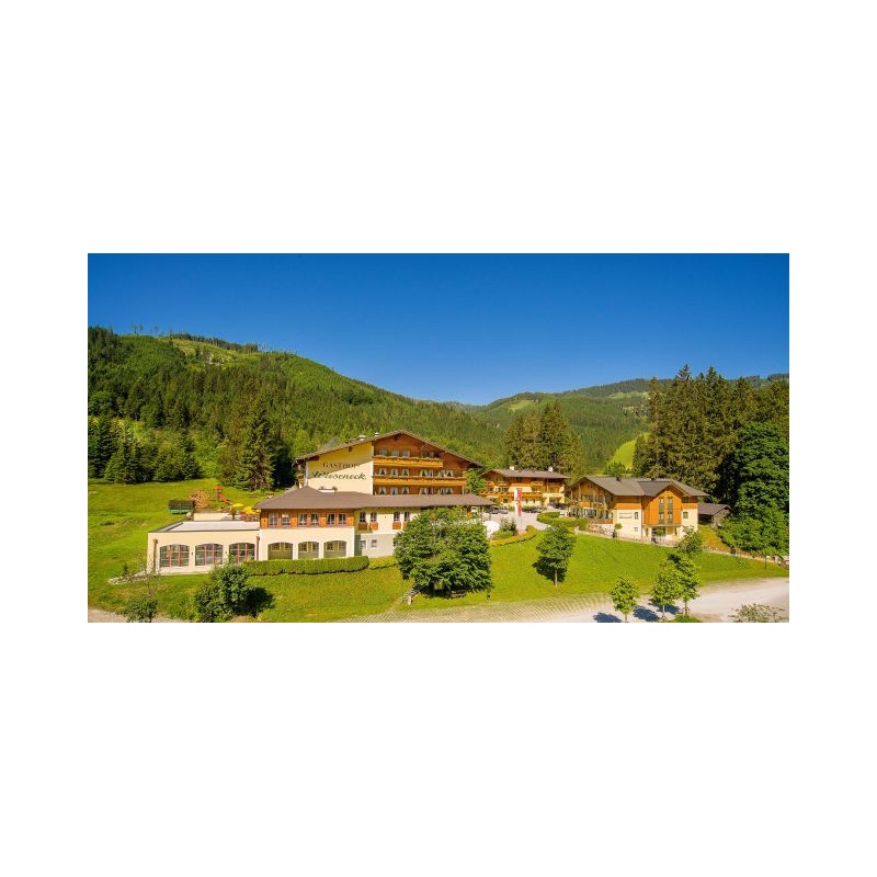 Hotel Wieseneck