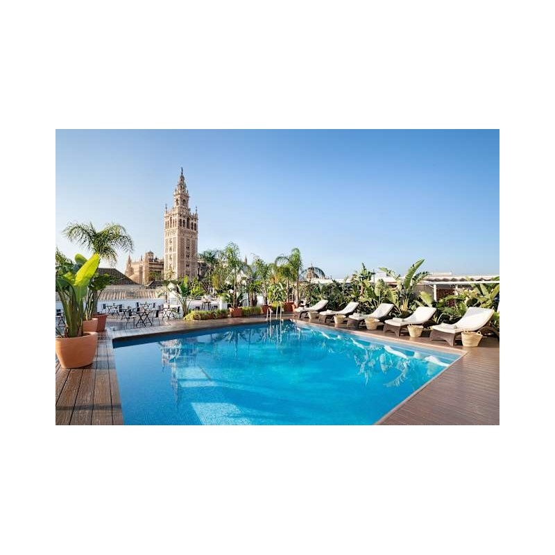 Hotel Los Seises