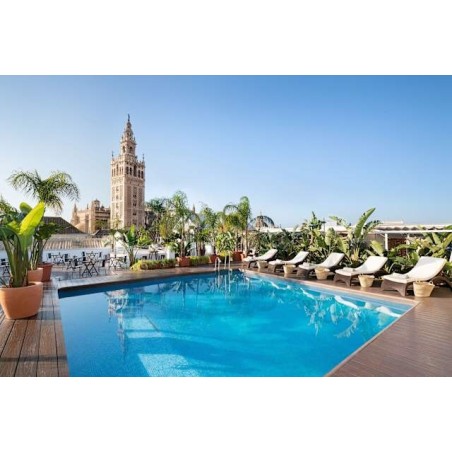 Hotel Los Seises
