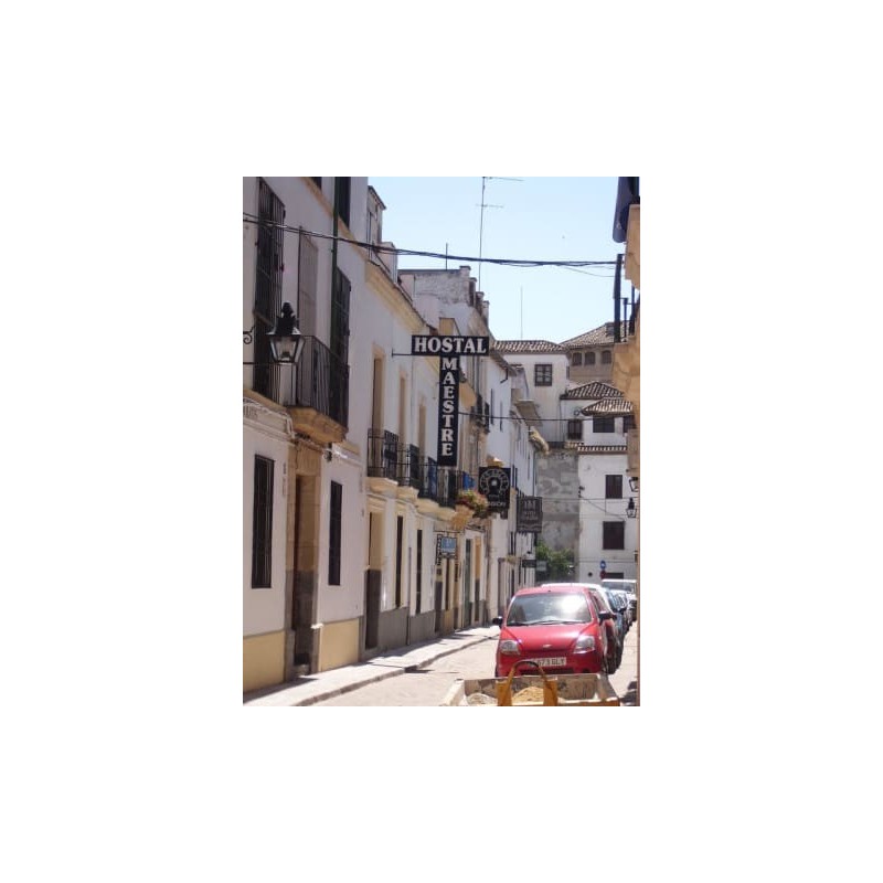 Hotel Maestre
