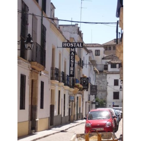 Hotel Maestre