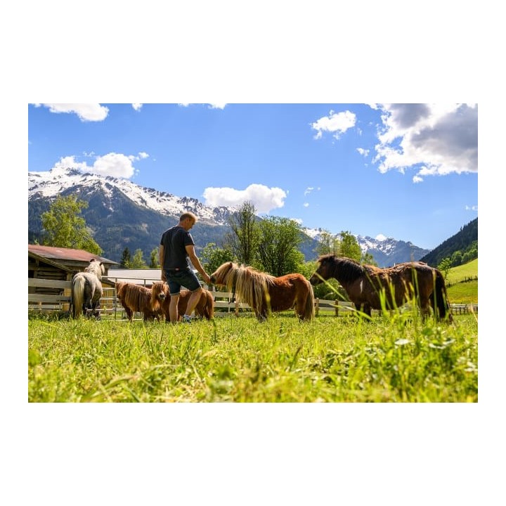 Hotel Wolkensteinbär