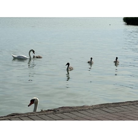Club Tihany Hotel
