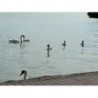Club Tihany Hotel