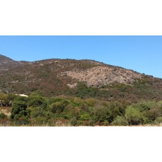 Hotel Residence a Punta