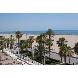Hotel Sol Playa