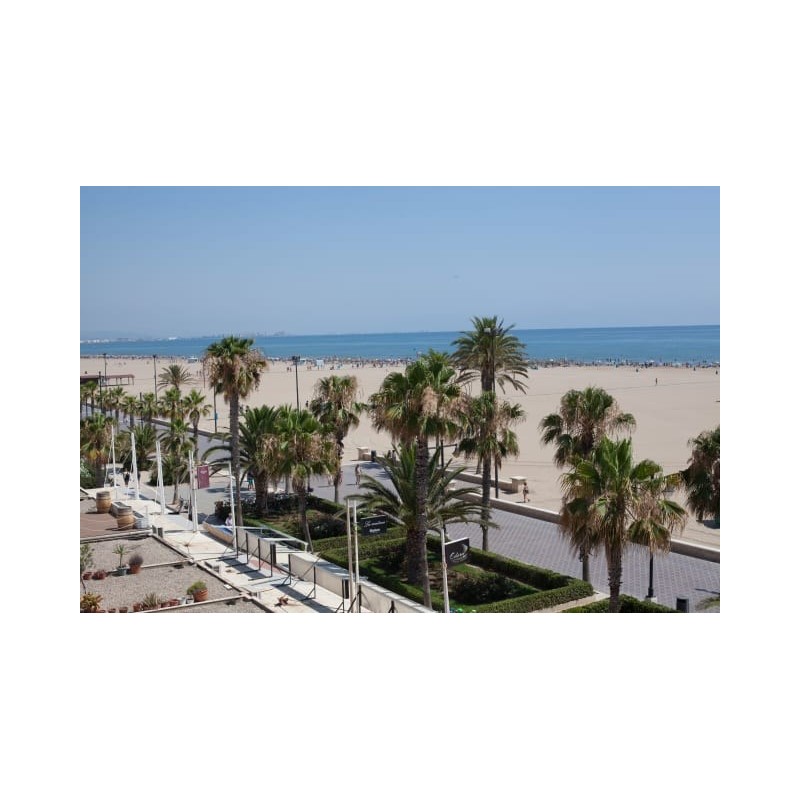 Hotel Sol Playa