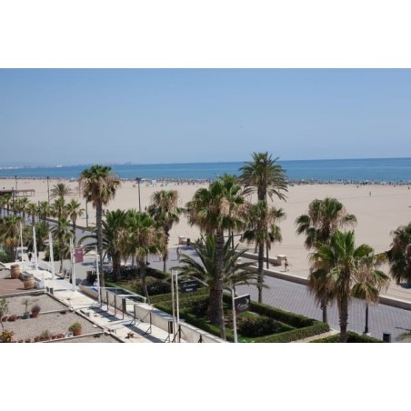 Hotel Sol Playa