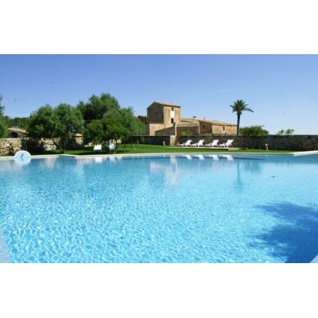Hotel SON COSMET