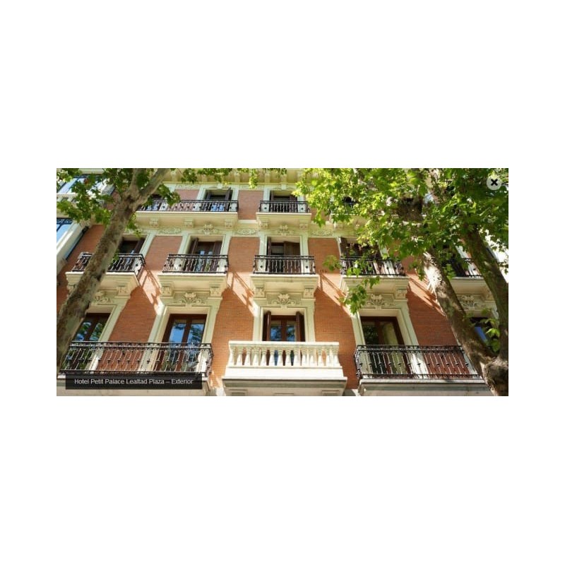 Hotel Petit Palace Lealtad Plaza