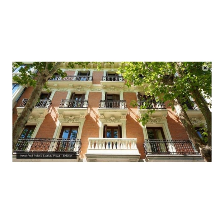 Hotel Petit Palace Lealtad Plaza