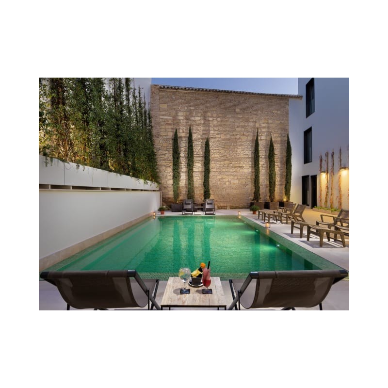 H10 Palacio Colomera