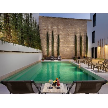 H10 Palacio Colomera